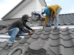 Best Roof Maintenance and Cleaning  in Cusseta, GA